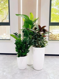 专业花卉租摆,领略宁波奉化的花卉艺术风情